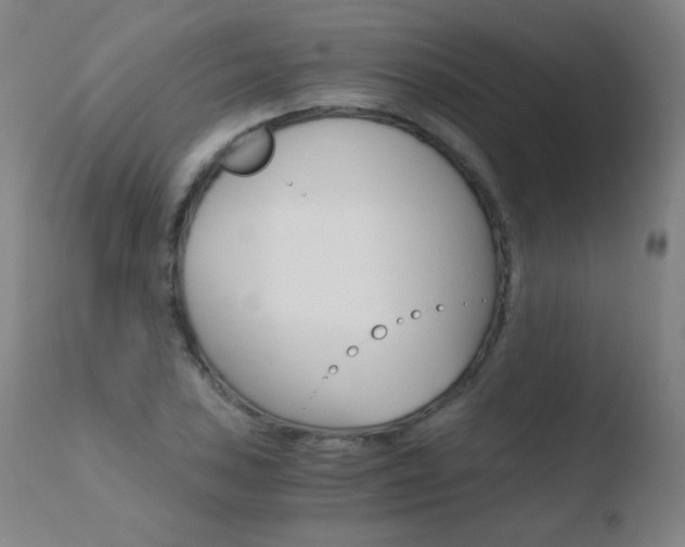 X0000110671027200906121055