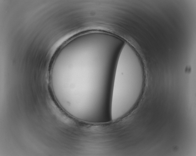 X0000110671028200906121055