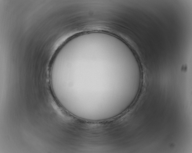 X0000110671031200906121055