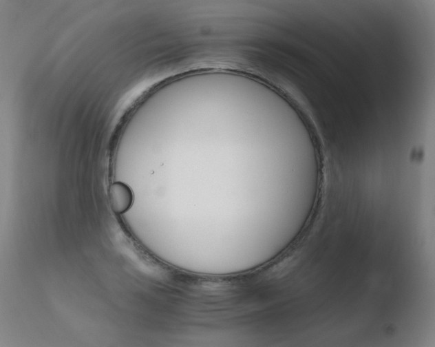 X0000110671035200906121056