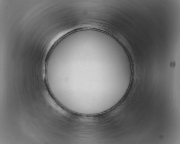 X0000110671036200906121056