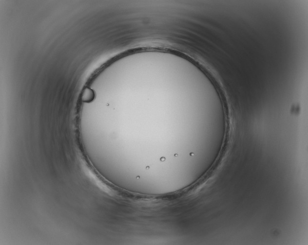 X0000110671037200906121056