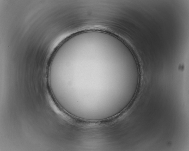 X0000110671038200906121056
