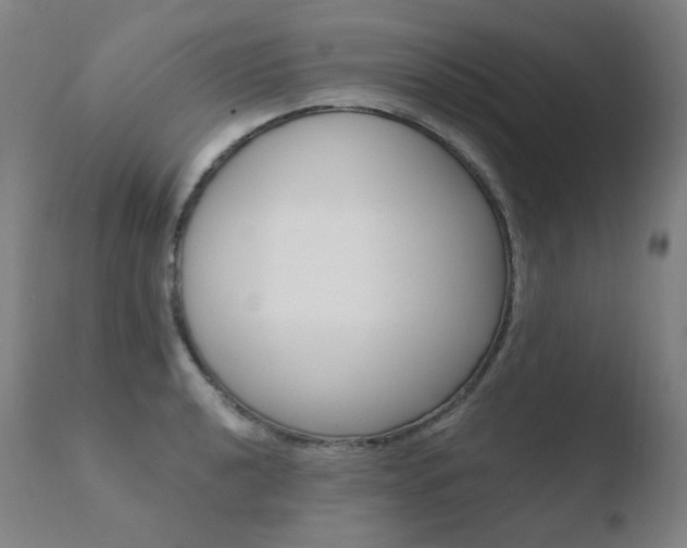 X0000110671040200906121056