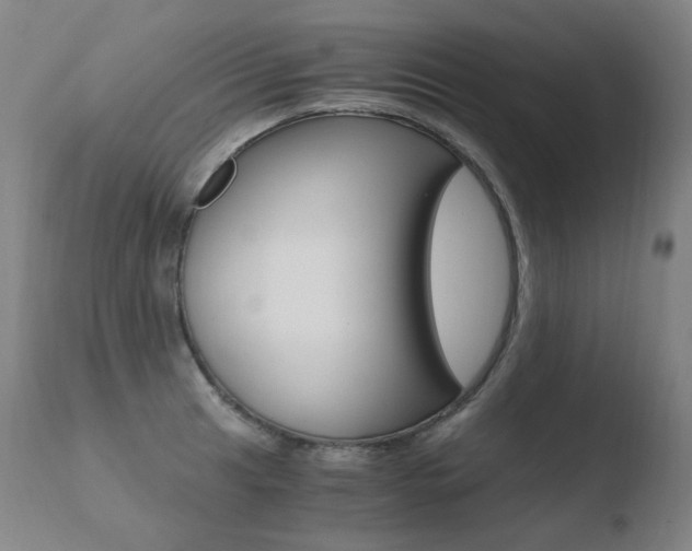 X0000110671041200906121056