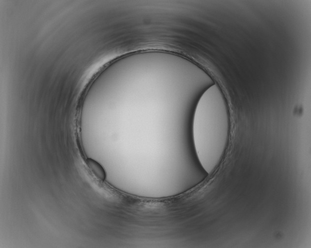 X0000110671043200906121056