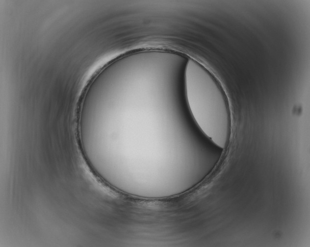 X0000110671045200906121056