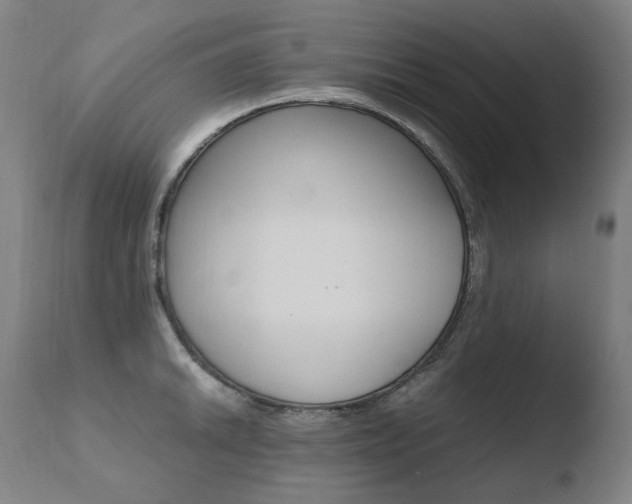 X0000110671046200906121056