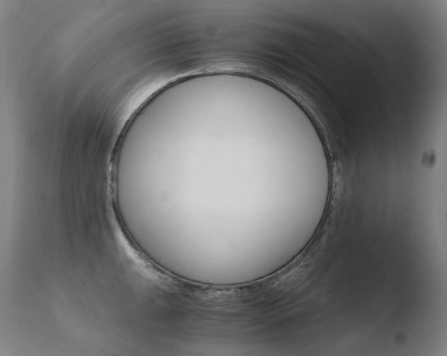 X0000110671047200906121056