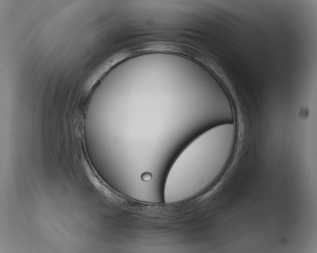 X0000110671049200906121056
