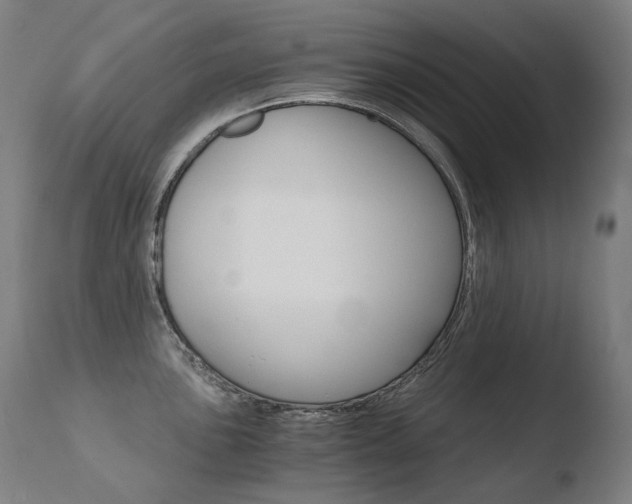 X0000110671051200906121056