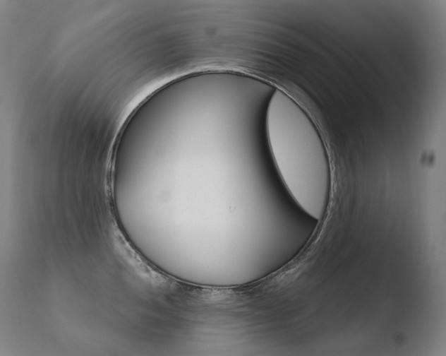 X0000110671052200906121056