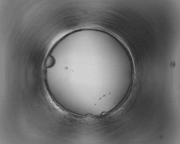 X0000110671053200906121056