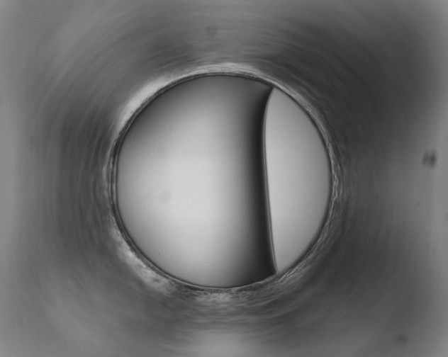 X0000110671054200906121056