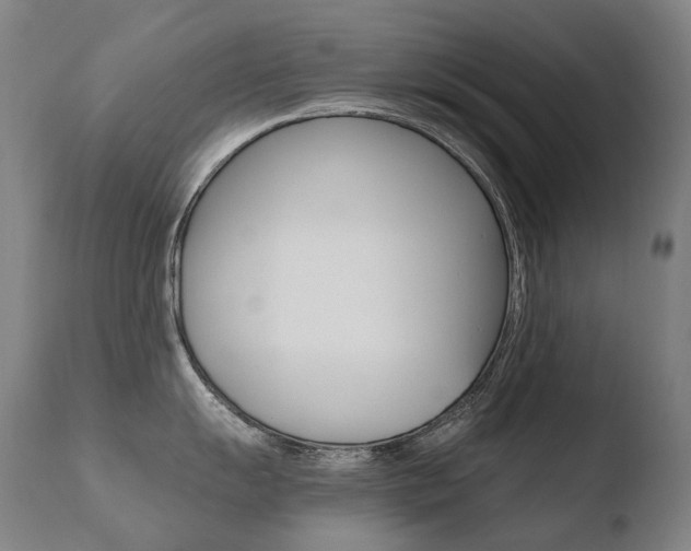 X0000110671055200906121056
