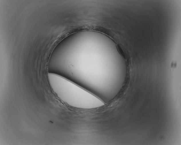X0000110671057200906121055