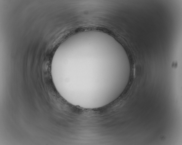 X0000110671059200906121055