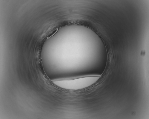 X0000110671060200906121055