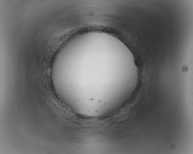 X0000110671061200906121055