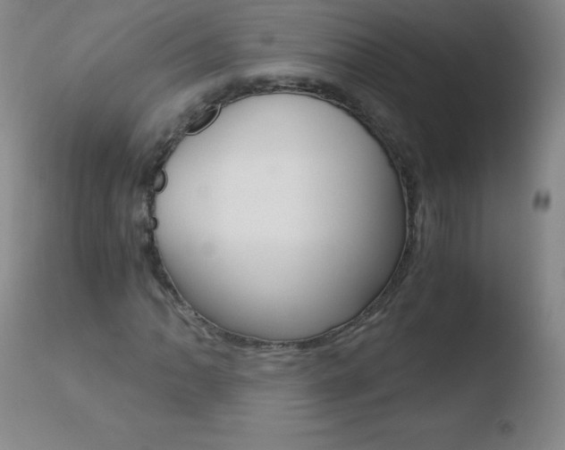 X0000110671062200906121055