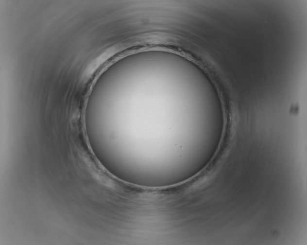 X0000110671065200906121055