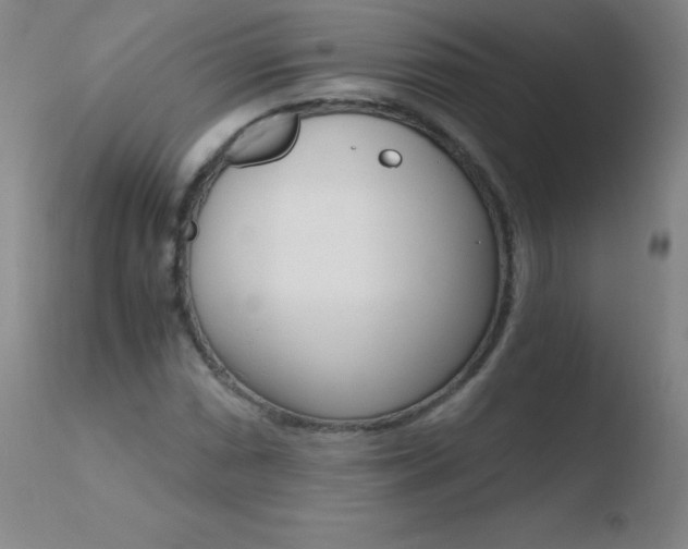 X0000110671066200906121055