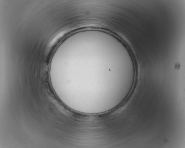 X0000110671067200906121055