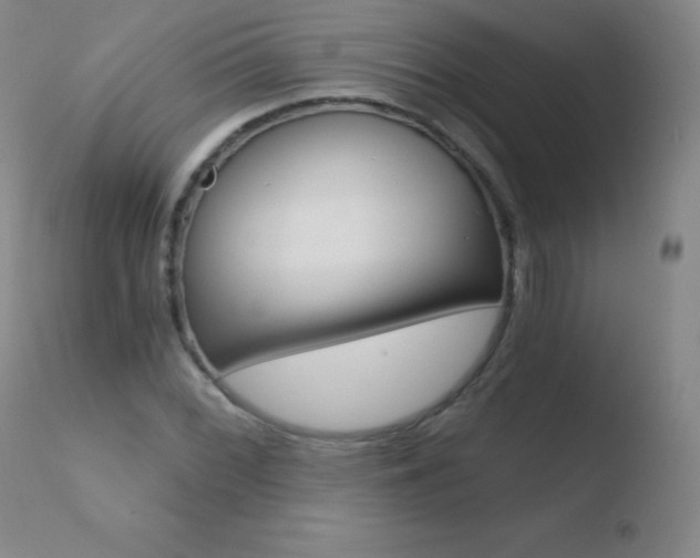 X0000110671068200906121055