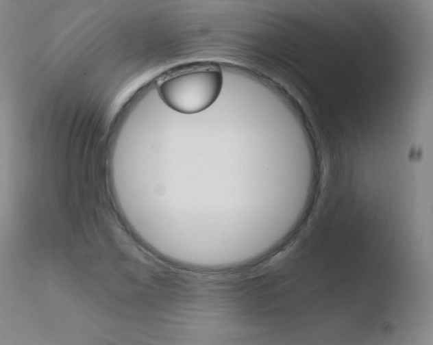X0000110671069200906121055