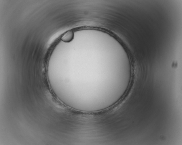 X0000110671070200906121055