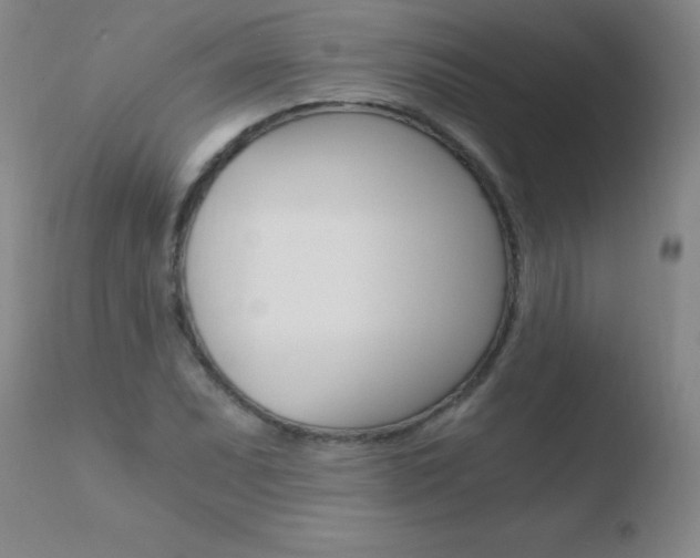 X0000110671071200906121055