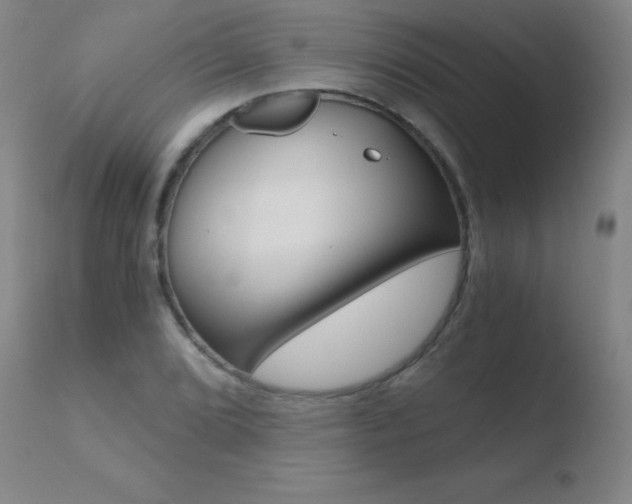 X0000110671072200906121055
