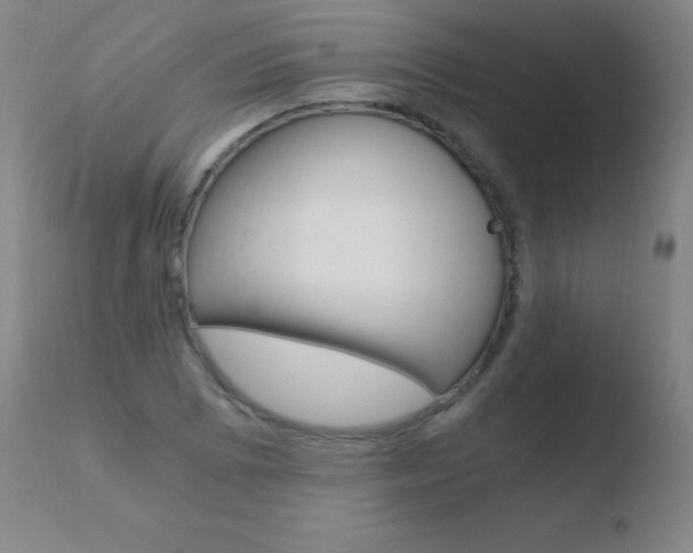 X0000110671073200906121055