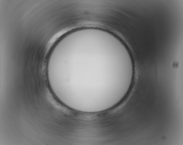 X0000110671074200906121055