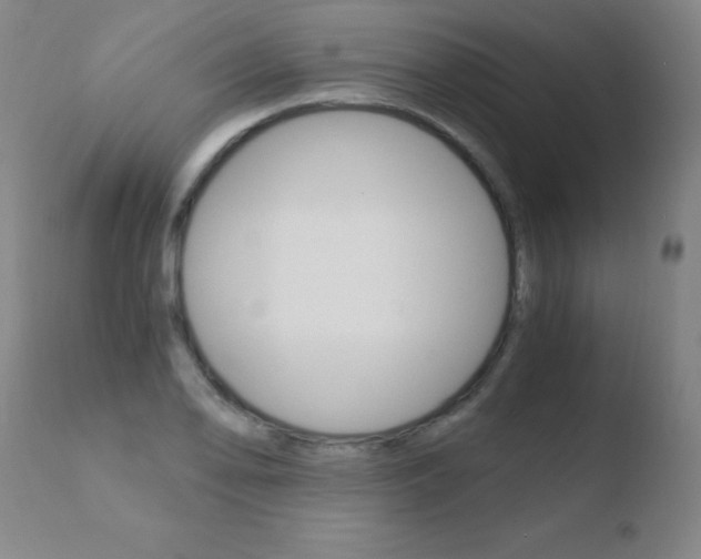 X0000110671078200906121055
