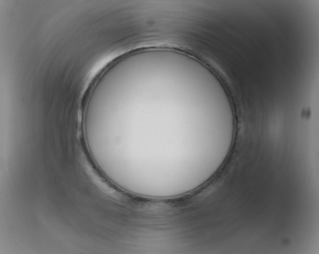 X0000110671079200906121055