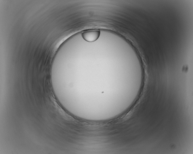 X0000110671081200906121055