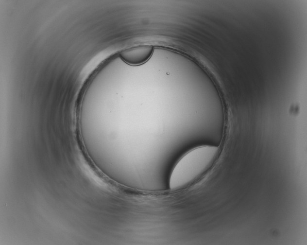 X0000110671082200906121055