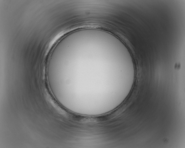 X0000110671083200906121055