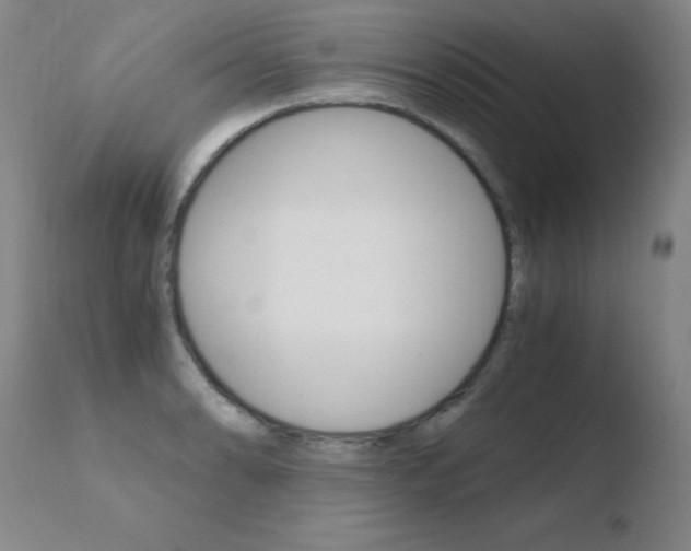 X0000110671086200906121055