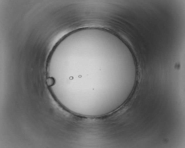 X0000110671087200906121055