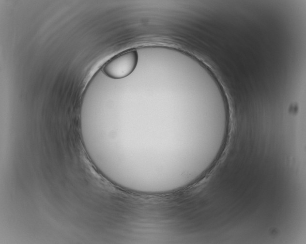 X0000110671089200906121055