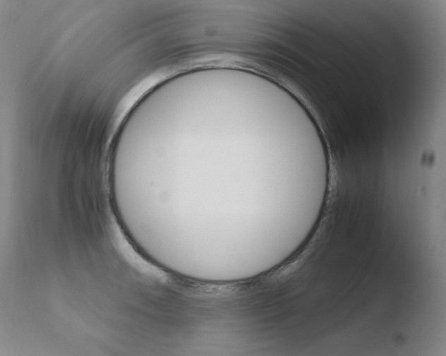 X0000110671090200906121055