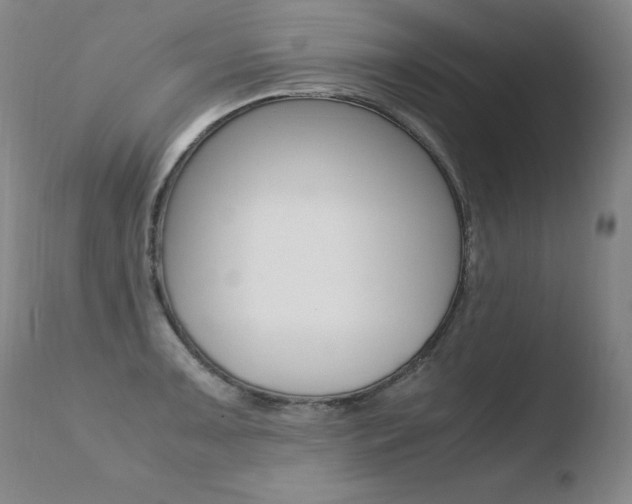 X0000110671091200906121055