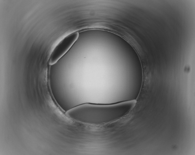 X0000110671092200906121055