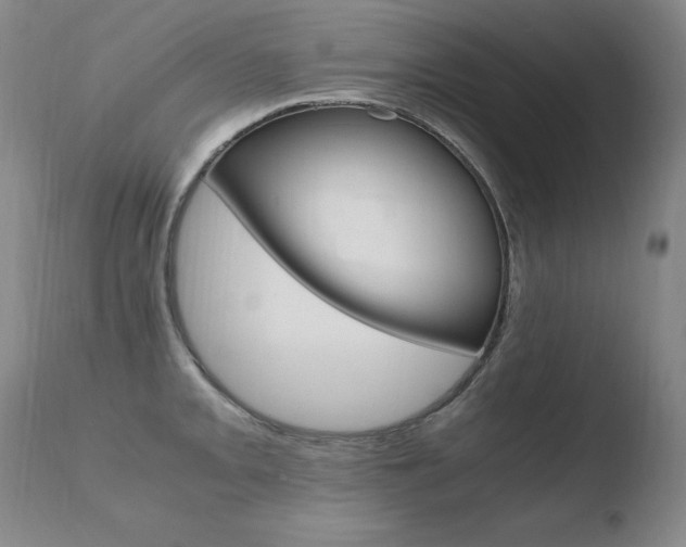 X0000110671093200906121055