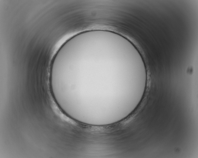 X0000110671094200906121055