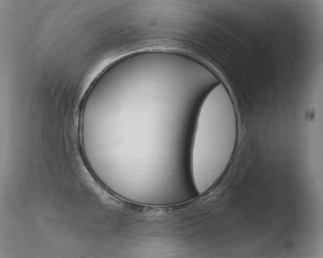X0000110671099200906121055