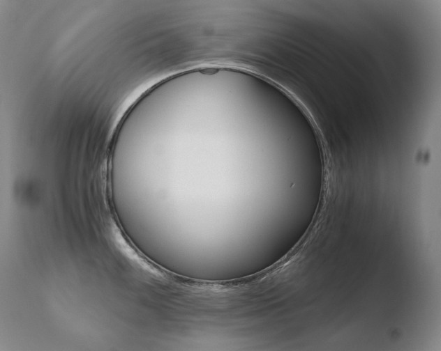 X0000110671100200906121055