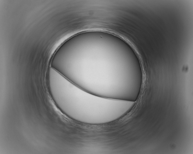 X0000110671101200906121055